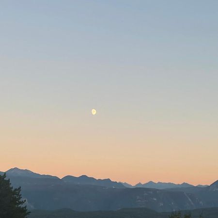 Kreuzstein Bed&Breakfast アッピアーノ・スッラ・ストラーダ・デル・ヴィーノ エクステリア 写真